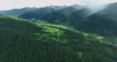 Alp otlaklarının ve orman dağlarının hava görüntüleri.      