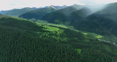 Güzel yüksek irtifa yeşil orman manzarasının hava görüntüleri.