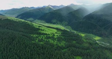 Güzel yüksek irtifa yeşil orman manzarasının hava görüntüleri.