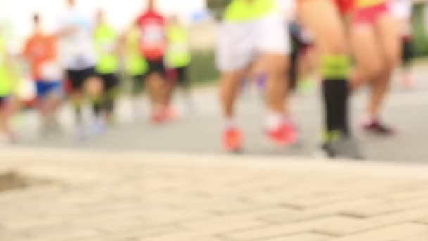Biegacze maratońscy na drodze miejskiej. — Wideo stockowe