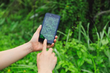 Yazın cep telefonu kullanan eller fotoğraf çeker.