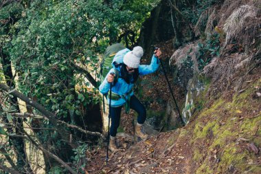 Sırt çantalı bir kadın dik orman patikasında yürüyüş yapıyor.