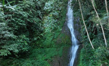 Tibet, Çin 'deki güzel tropikal orman ve şelale