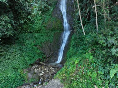 Tibet, Çin 'deki güzel tropikal orman ve şelale