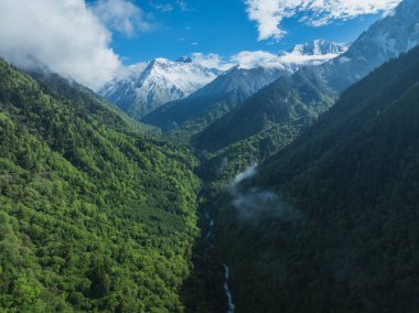 Güzel yüksek irtifa manzarası. Karla kaplı dağlar ve orman manzarası.