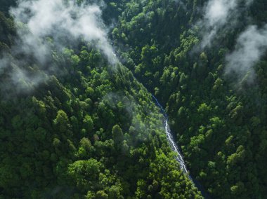 Güzel yüksek irtifa dağlarının ve orman manzarasının havadan görünüşü