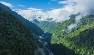Güzel yüksek irtifa dağlarının ve orman manzarasının havadan görünüşü