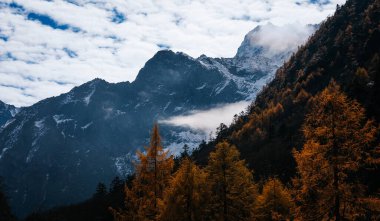 Sonbaharda güzel yüksek irtifa ormanı dağ manzarası