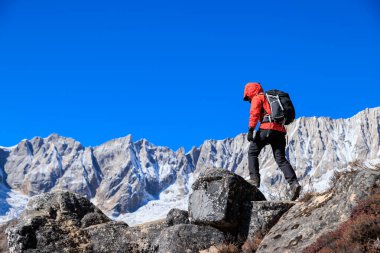 Başarılı kadın yürüyüşçü yüksek rakımlı dağın tepesine tırmanıyor.