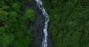 Nehir ve orman manzaralı güzel yüksek irtifa dağlarının hava manzarası