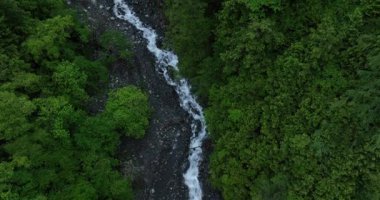 Nehir ve orman manzaralı güzel yüksek irtifa dağlarının hava manzarası
