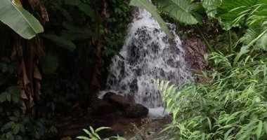 Güzel tropikal orman manzarasında şelale, Çin