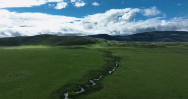 Ormanı ve dağları olan güzel otlakların hava görüntüleri.
