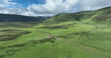 Ormanı ve dağları olan güzel otlakların hava görüntüleri.