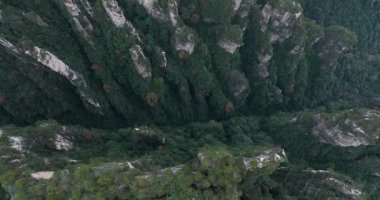 Zhangjiajie Ulusal Orman Parkı, Çin 'de güzel bir manzara.