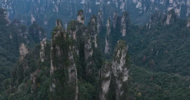 Zhangjiajie Ulusal Orman Parkı, Çin 'de güzel bir manzara.