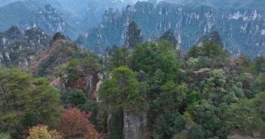 Zhangjiajie Ulusal Orman Parkı, Çin 'de güzel bir manzara.