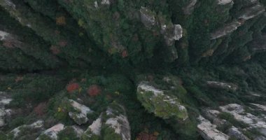 Zhangjiajie Ulusal Orman Parkı, Çin 'de güzel bir manzara.