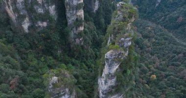 Zhangjiajie Ulusal Orman Parkı, Çin 'de güzel bir manzara.