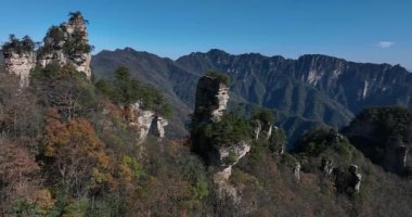Zhangjiajie Ulusal Orman Parkı, Çin 'de güzel bir manzara.