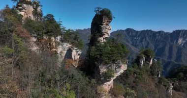 Zhangjiajie Ulusal Orman Parkı, Çin 'de güzel bir manzara.