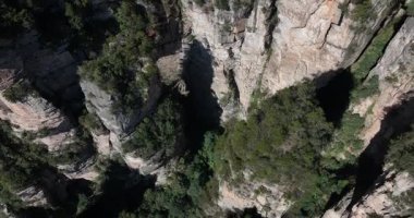 Zhangjiajie Ulusal Orman Parkı, Çin 'de güzel bir manzara.