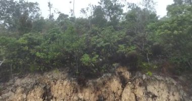 Kayalık yamaçtaki yemyeşil bitki örtüsü