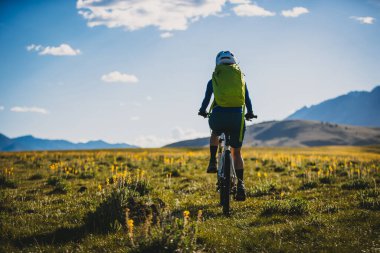 Sarı çiçek tarlasında bisiklete binen kişi
