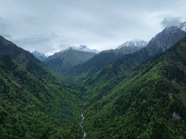 Görkemli dağlarla çevrili yemyeşil bir vadi
