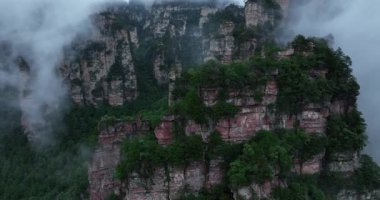 Puslu dağlar yemyeşil bitki örtüsüyle kaplı