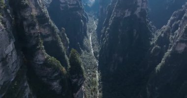 Koyu yeşil vadinin havadan görünüşü