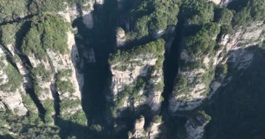 Kayalık kayalıkların ve yeşilliklerin havadan görünüşü