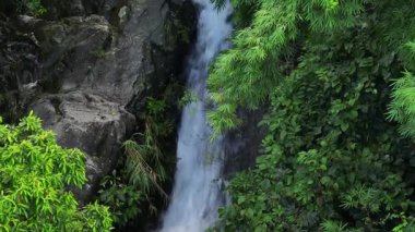 Yükselen şelale yemyeşil ile çevrili.