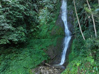 Tibet, Çin 'deki güzel tropikal orman ve şelale