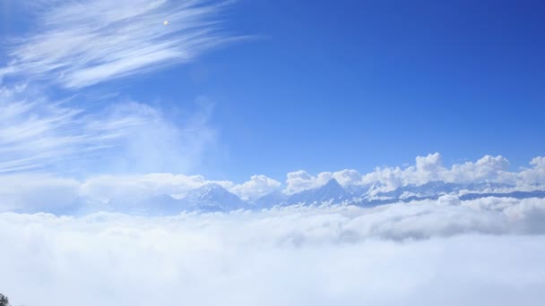 Cielo azul con nubes — Vídeo de stock