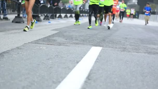 Maratonlöpare som springer på väg — Stockvideo