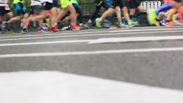 Corredores de maratón corriendo por carretera — Vídeo de stock