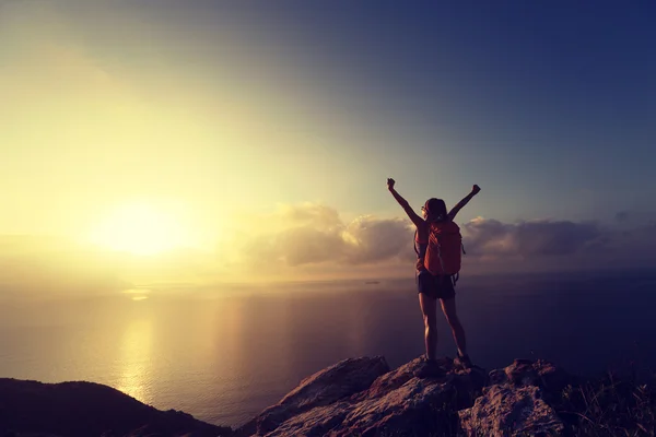 Cheering  woman hiker on mountain peak — Stock Photo, Image