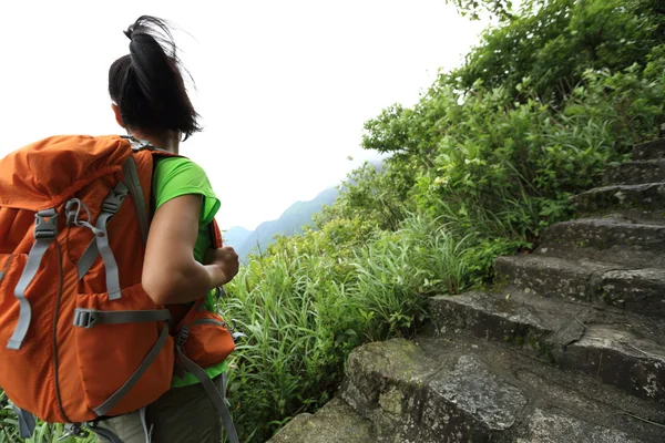 Woman hiking on mountain stairs — Stock Photo, Image