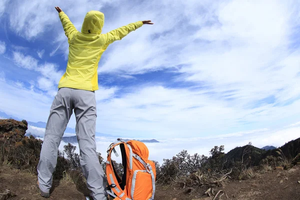 Mujer excursionista en pico de montaña —  Fotos de Stock