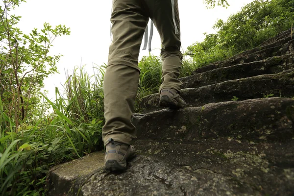 Woman hiking on stairs — Stock Photo, Image