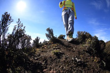 kadın backpacker Hiking