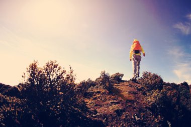 kadın backpacker Hiking