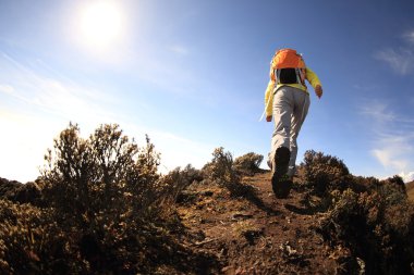 kadın backpacker Hiking