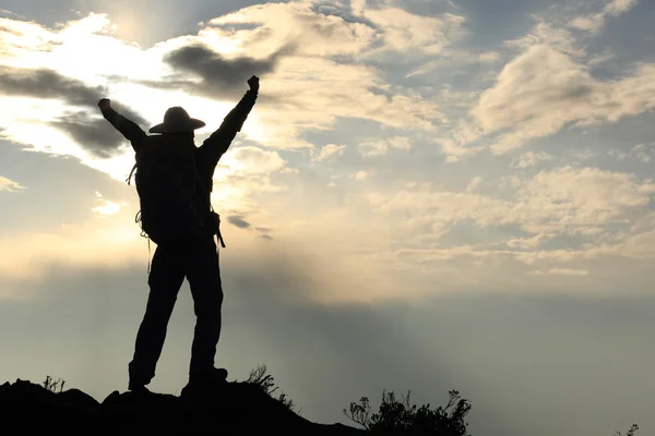 Cheering young woman hiker — Stock Photo, Image