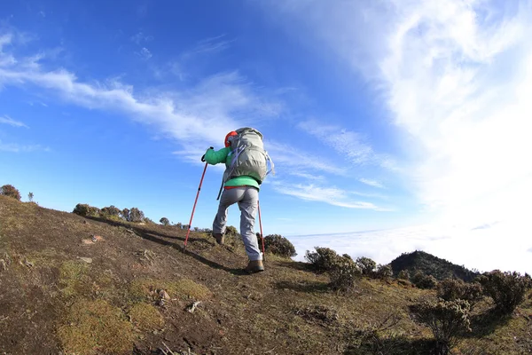 Mulher mochileiro no pico da montanha — Fotografia de Stock