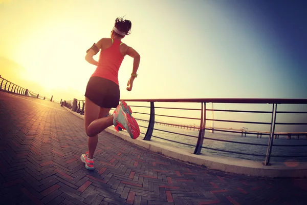 Young fitness woman — Stock Photo, Image