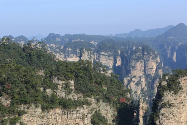 Zhangjiajie δασικό πάρκο — Φωτογραφία Αρχείου