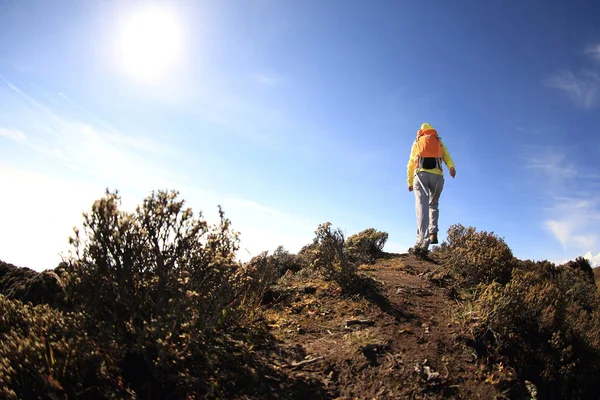 Kadın backpacker Hiking — Stok fotoğraf