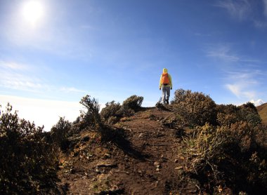 kadın backpacker Hiking